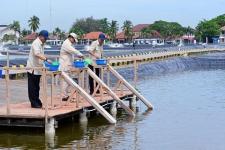 Presiden Tinjau BLUPPB Karawang, Dorong Swasembada Pangan dan Ekonomi Biru