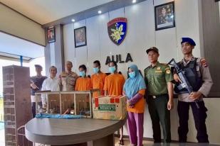 Polisi Kalimantan Selatan Tangkap Empat Tersangka Penjual Satwa Dilindungi