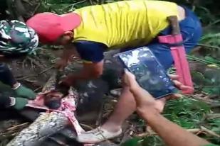 Perempuan Hilang Ditemukan Tewas Dalam Perut Ular Piton di Sulawesi Selatan