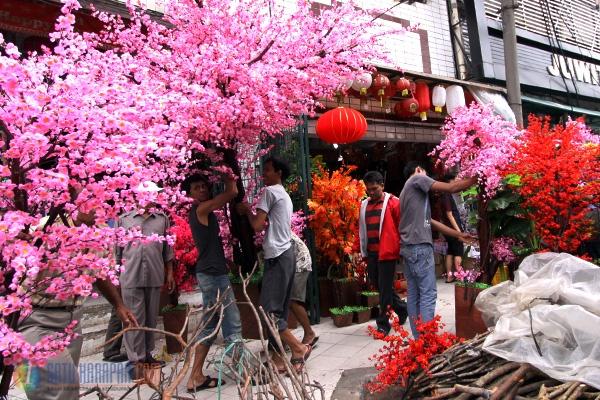 Satu Harapan Pohon Hias Bunga Sakura Mulai Ramai Dipesan Jelang Imlek