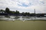 Olimpiade: Latihan Renang Triathlon Batalkan Lagi, Air Sungai Seine Tidak Bersih