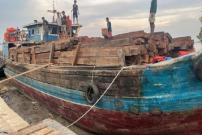 Polisi Riau Tangkap Kapal Bawa 70 Ton Kayu Ilegal