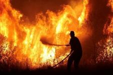Kecelakaan Pesawat Fatal di AS Memiicu Kebakaran Hutan