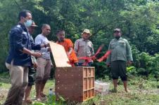 BKSDA Maluku Selamatkan 1.672 Tumbuhan dan Satwa Liar