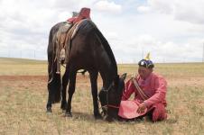 Peneliti Telusuri Asal Muasal Kuda Modern Hingga Garis Keturunan 4.200 Tahun Lalu