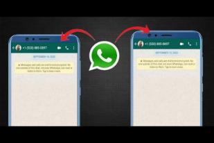 WhatsApp Kembangkan "Chat" Multiponsel dan Tablet