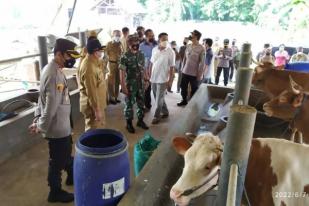 Tulungagung Zona Kuning Wabah PMK