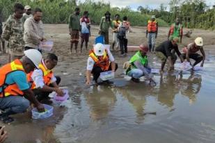 BBKSDA Papua Lepasliarkan 161 Labi-labi dan Dua Kasuari