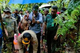 BBKSDA Papua Barat Lepas Puluhan Reptil Sitaan