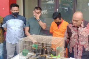 Polisi Tangkap Penjual Beo Nias