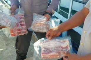 Kupang Gagalkan Masuknya 60 Kg Daging Sapi dan Babi