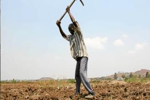 Reformasi Lahan, Afsel Serahkan Lahan Orang Kulit Putih kepada Kulit Hitam