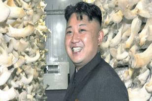 1.500 Warga Korea Utara Membelot ke Selatan pada 2013