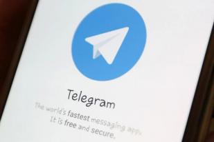 Telegram Bagikan Kiat Hindari Phishing