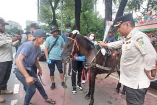 Jakpus Uji Sampel Feses Kuda Monas Jamin Kesehatan Publik