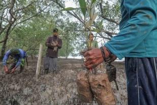 RI Dapatkan Dana Lingkungan 103,65 Juta Dolar AS