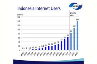 Pengguna Internet 71,19 Juta 2013, Mayoritas untuk E-mail