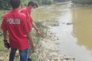 Polri Selidiki Penyebab Ribuan Ikan Mati di Sungai Cileungsi