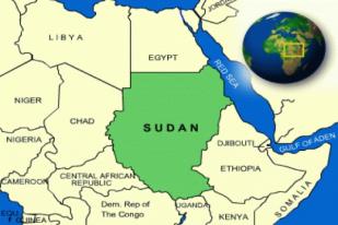 WHO: 459 Meninggal, 4.072 orang Terluka Selama Konflik di Sudan