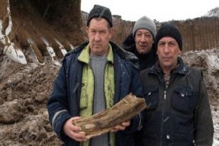 Ditemukan Potongan Gading Mammoth Berusia 1,5 Juta Tahun di Siberia