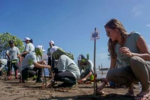 Indonesia Miliki 3,39 Juta Hektare Mangrove