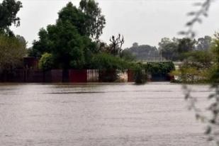 Korban Meninggal Akibat Banjir Afghanistan Jadi 315 Orang