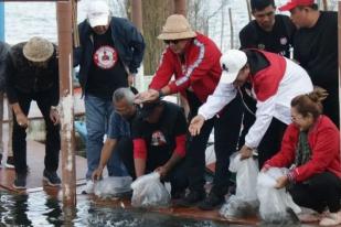 Tabanan Tebar 16.500 Ikan ke Danau Beratan