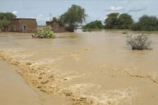 Sudan Catat 205 Orang Meninggal Akibat Banjir