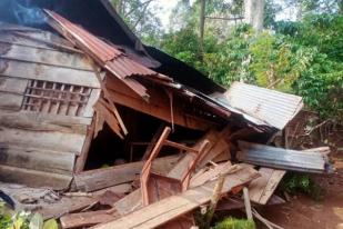 Gajah Liar Rusak Puluhan Rumah Warga di Suoh Lampung