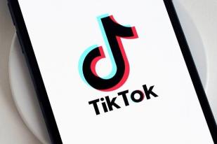 Albania akan Blokir TikTok Setahun