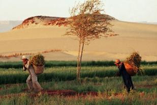 Kofi Annan: Hentikan Eksploitasi Sumber Daya Alam Afrika