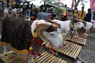 Beberapa Budaya Tradisional Digelar Warga