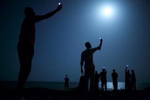 Signal, Foto Tahun ini dari World Press Photo