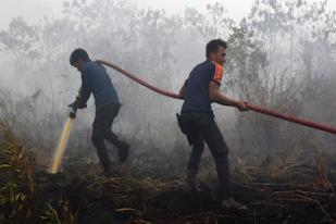 Luas Kebakaran Riau Capai 7.972 Hektare
