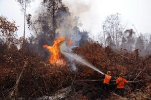 11.128 Hektare Lahan di Riau Terbakar