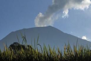 Gunung Marapi, Sumbar Semburkan Abu Vulkanik