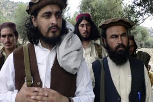 Taliban Pakistan Pilih Pemimpin Baru, Setelah Mehsud Tewas