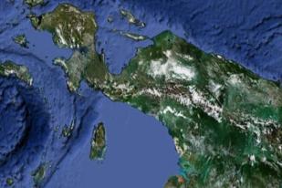 WWF: Hutan Papua Relatif Masih Baik