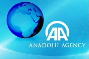 Mesir Gerebeg Kantor Berita Turki, Anadolu di Kairo