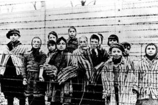 Jerman Setuju Bayar Rp 8,6 Triliun bagi Korban Holocaust