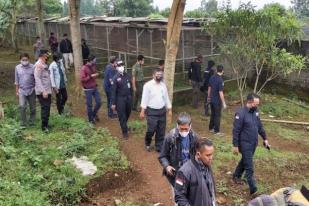 Polisi Tangkap Penangkar Tanpa Izin Jenis Burung Dilindungi di Sukabumi 