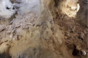 Ditemukan Fosil Sembilan Manusia Neanderthal di Gua Italia