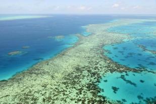 UNESCO Usulkan Great Barrier Reef di “Daftar Dalam Bahaya”