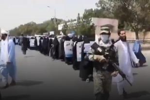 Ratusan Perempuan Bercadar Gelar Pawai di Kabul Dukung Taliban