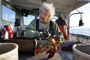 Usia 101 Tahun, Virginia Oliver Nelayan Lobster Tertua