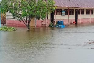 300 Rumah Terdampak Banjir di Luwu Utara