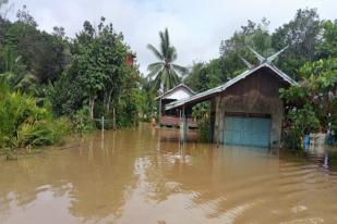 Ribuan Rumah di Gunung Mas, Kalteng, Terendam Banjir