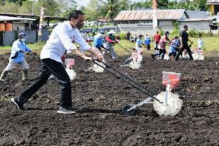 Jokowi Minta Produk Jagung Nasional Ditingkatkan