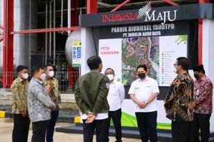 Jokowi: Hilirisasi Industri Kelapa Sawit Harus Dilakukan