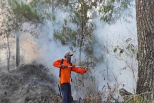 Kebakaran Lahan Terjadi di Taman Wisata Bangli